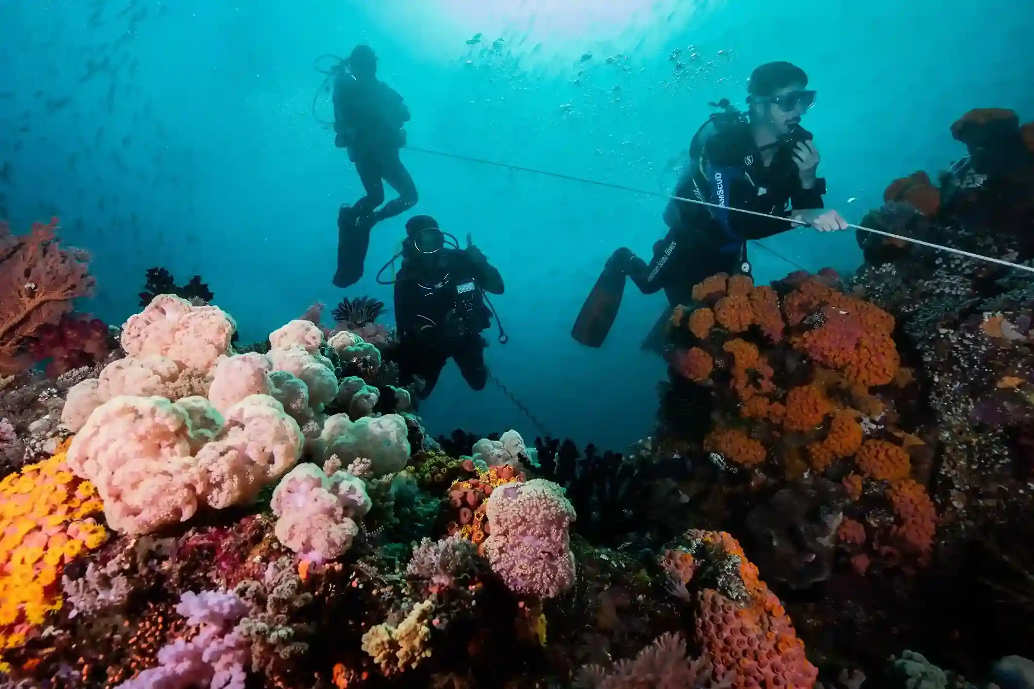 Other Signature Dive Sites
