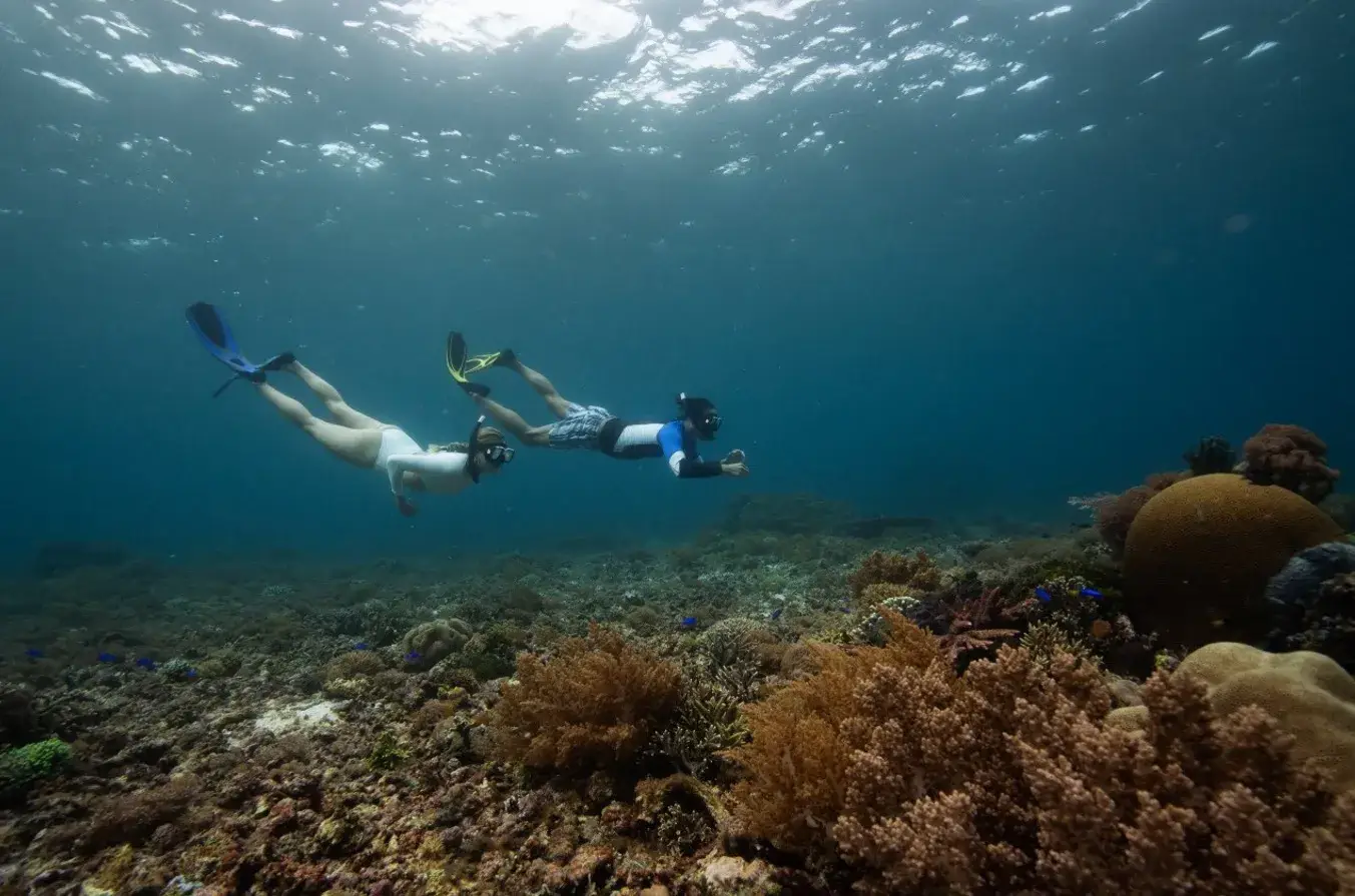 Snorkeling & Diving at Wayag